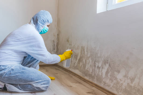 Licensed Mold Testing service in Olney, TX - WQB Mold Removal