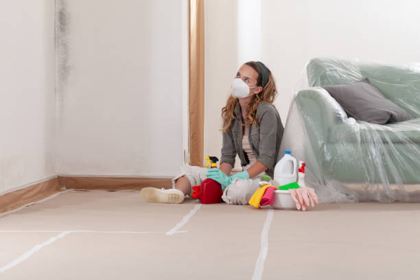 Reliable Mold Testing contractor in Olney, TX by WQB Mold Removal